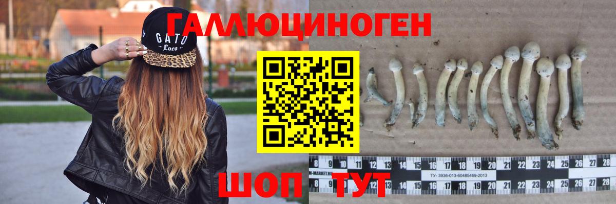 Кумертау  Псилоцибиновые грибы мицелий  Вход с VPN 